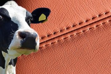 Cowhide Leather