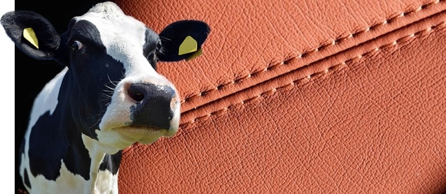 Cowhide Leather