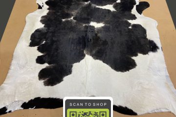 Small Bw Cowhide 5 X 6 Bw 02 186