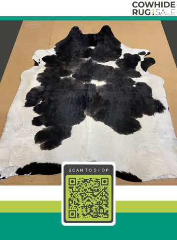 Small Bw Cowhide 5 X 6 Bw 02 186
